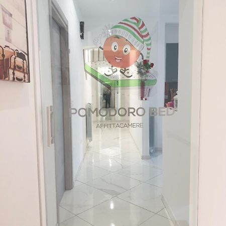 Bed and Breakfast Pomodoro Bed Кастровиллари Экстерьер фото